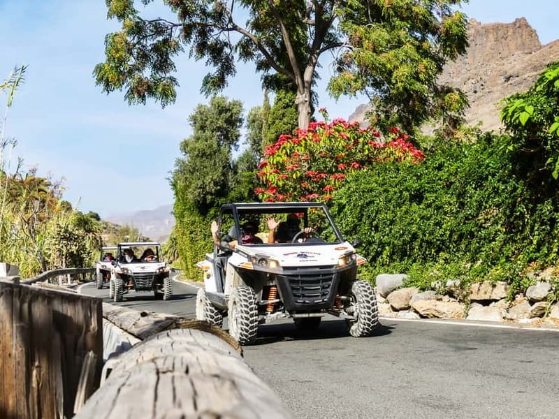 Gran Canaria: Off-Road Buggy Adventure in the Canyons - How the Buggy Works: Driving, Co-pilots, and Safety Gear
