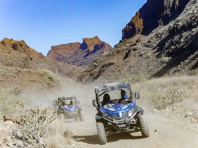 Gran Canaria: Off-Road Buggy Adventure in the Canyons - Value Check: Is $76 Worth It for This 2–2.5 Hour Adventure?
