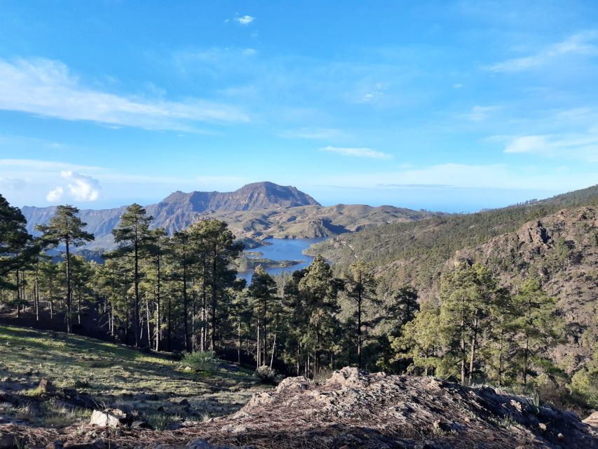 Gran Canaria: "Peaks of Gran Canaria" Hiking Tour - Key things I’d book this for