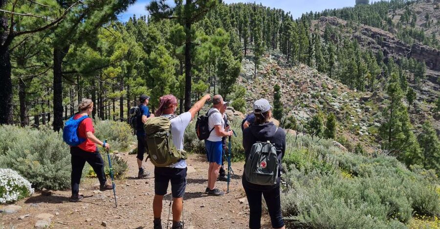 Gran Canaria: "Peaks of Gran Canaria" Hiking Tour - How long and how tough: 7 km vs 10 km and what the numbers mean
