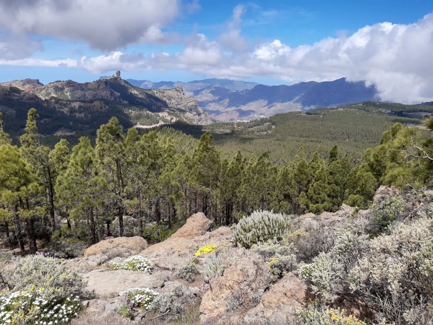 Gran Canaria: "Peaks of Gran Canaria" Hiking Tour - Weather changes the plan, and that’s a good thing