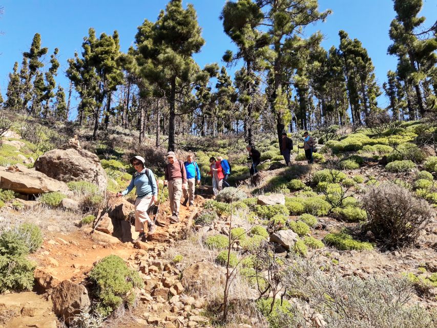 Gran Canaria: "Peaks of Gran Canaria" Hiking Tour - Value for $82: why the package costs less than the stress