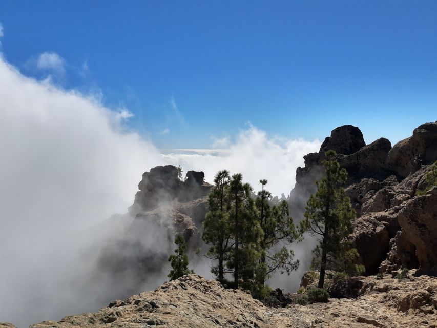 Gran Canaria: "Peaks of Gran Canaria" Hiking Tour - Who this hiking tour suits best