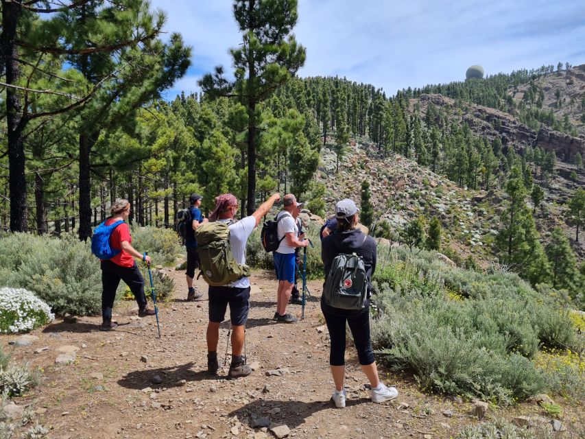 Gran Canaria: "Peaks of Gran Canaria" Hiking Tour - Meet the guide: why UIMLA certification shows up in the experience