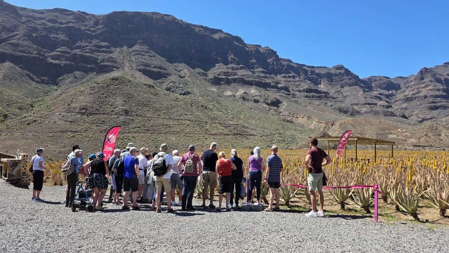 Gran Canaria: Premium Safari 4x4 Tour with Local Guide - Who This Tour Fits Best (and Who Might Want a Different Day)