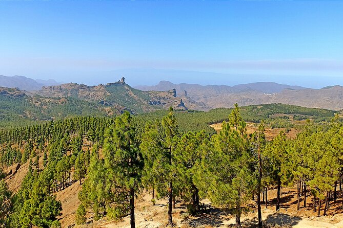 Gran Canaria Premium Tour: Volcanoes and Wine for cruisers - Bodega San Juan (Museo del Vino): Wine Tasting With a Museum Feel