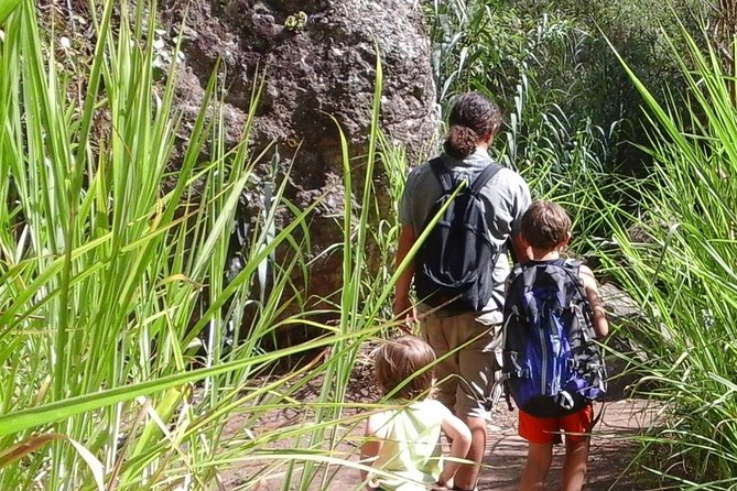 Gran Canaria private walks - Private Walks on Gran Canaria, Not a Cookie-Cutter Route