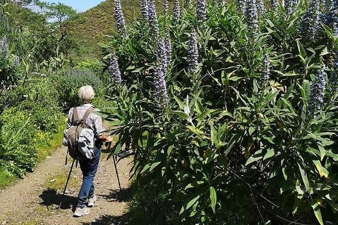 Gran Canaria private walks - How the Day Feels: Frequent Stops, Custom Pace, Real-World Safety
