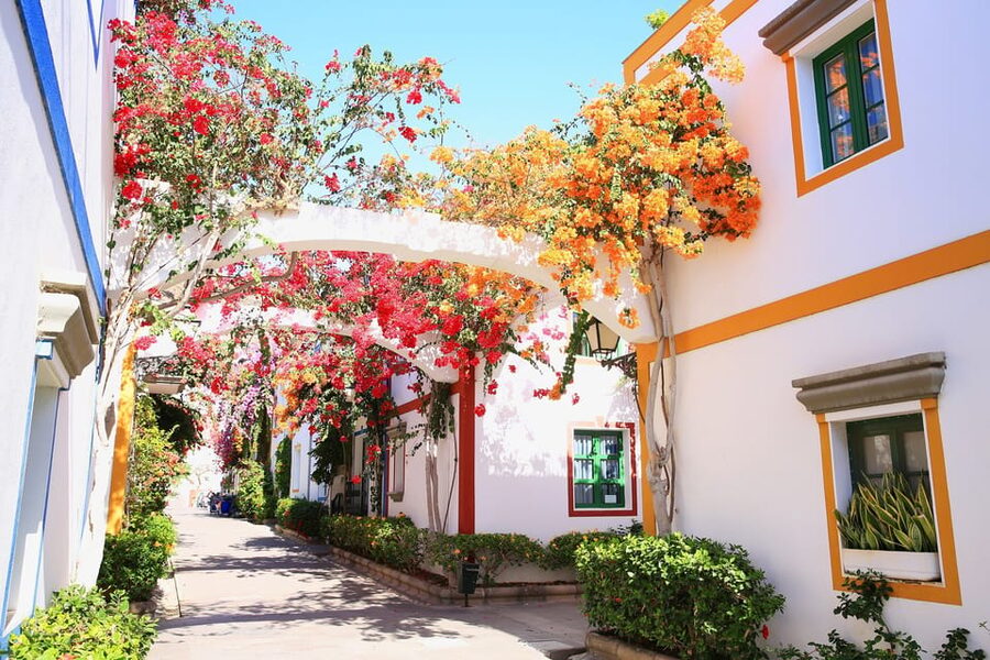 Gran Canaria: Puerto de Mogán Trip with 1-Way Boat Ride - Key Things I’d Tell a Friend Before You Go