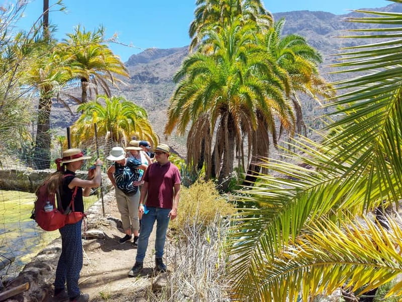 Gran Canaria: Red Gorge, Cave, Oasis Adventure Tour & Picnic - Temisas and the Canarian Town Pause: Olive Trees and Siesta Mood