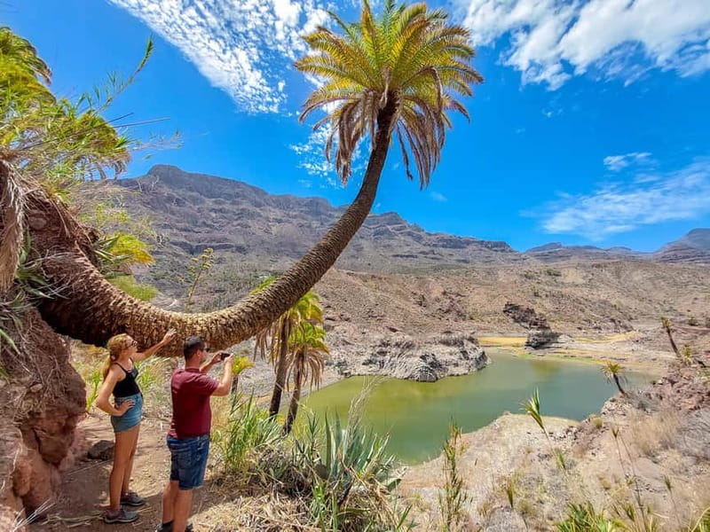 Gran Canaria: Red Gorge, Cave, Oasis Adventure Tour & Picnic - Pickup and Timing: What the Road Time Feels Like
