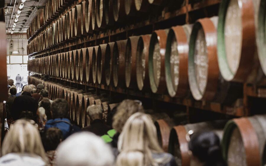 Gran Canaria: Rum, Wines and Banana Tour - Should You Book Gran Canaria: Rum, Wines and Banana Tour?