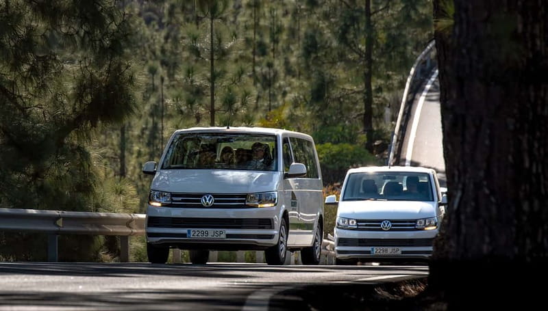 Gran Canaria: Rural Villages Guided Sightseeing Tour - Fataga’s valley feel: photo stops and the Thousand Palms area