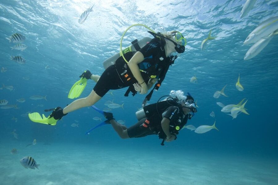 Gran Canaria: Scuba Diving for Beginners - Where You Meet at Puerto Escala Harbour (and why it helps)