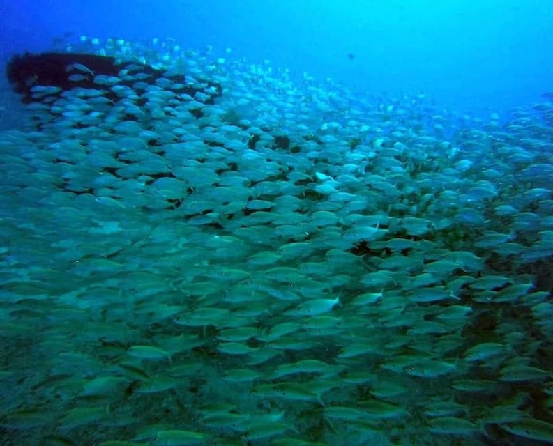Gran Canaria: Scuba Diving for Beginners - Who this fits best in Gran Canaria