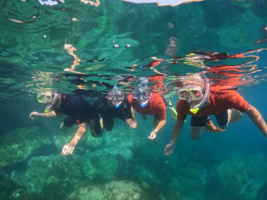 Gran Canaria: Snorkel tour with boat on the west coast - Key Things That Make This West Coast Snorkel Tour Worth Your Time