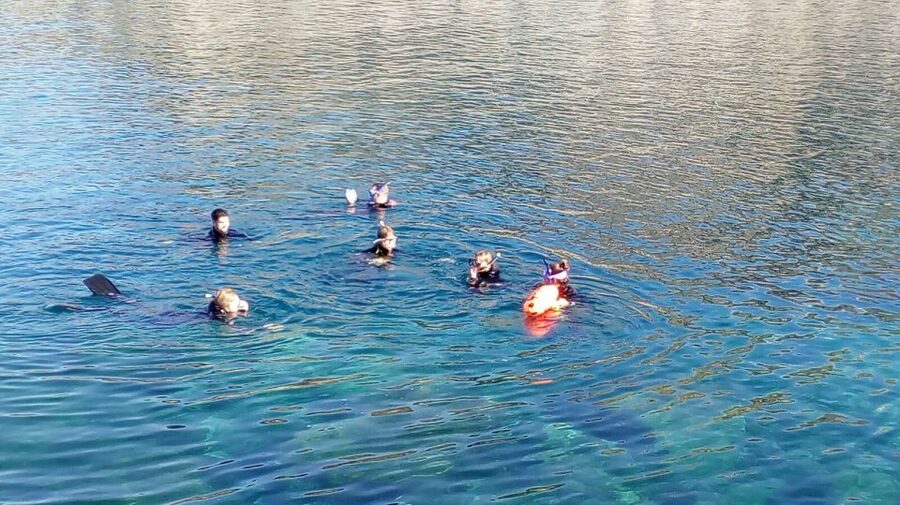 Gran Canaria: Snorkeling Trip - Puerto Rico de Gran Canaria Timing: What Two Hours Feels Like