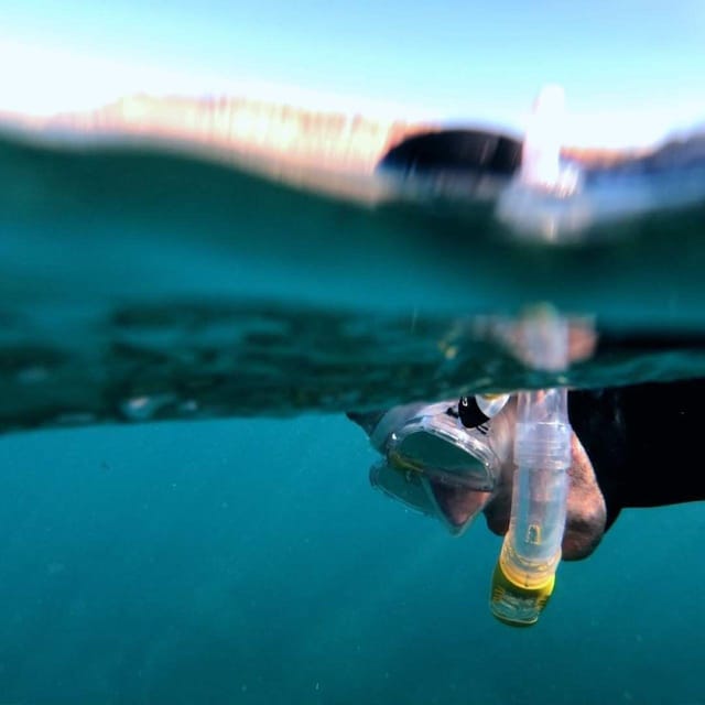 Gran Canaria: Snorkeling Trip - Getting to the Water: Drive Out, Then Guided Spot-Seeing