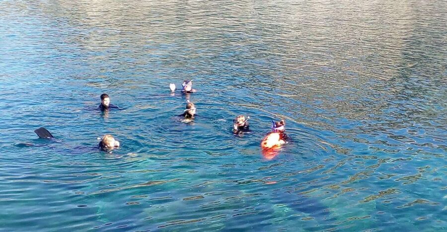 Gran Canaria: Snorkeling Trip - Meeting Point and Gear Setup: The Part That Makes Snorkeling Easier
