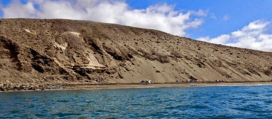 Gran Canaria: South Coast Guided Kayaking Trip - Price and Value: Why This Costs What It Does