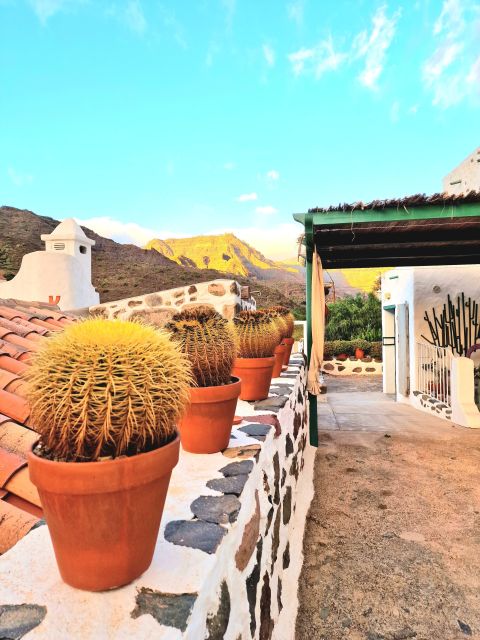 Gran Canaria: Spanish Tapas and Wine Tasting Tour in Mogan - Optional lunch or dinner at Valle de Mogán: when it’s worth upgrading