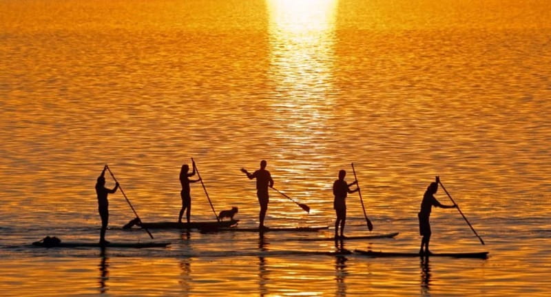 Gran Canaria: Stand-Up Paddle Lesson & Snorkeling Tour - Price and Value: Is $136 Fair for Four Hours?