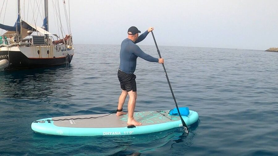 Gran Canaria : Stand Up Paddle (SUP) Tour - Wildlife spotting in motion: turtles and flying fish cues