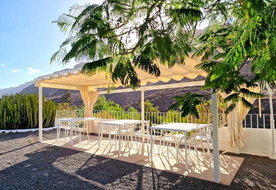 Gran Canaria: Tasting wine & local cheese in Mogan - The people behind the tasting: hosts, guide, and the pace