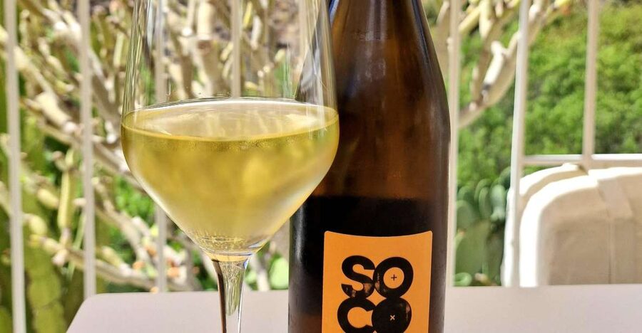 Gran Canaria: Tasting wine & local cheese in Mogan - Price and value: is $61 per person worth it?