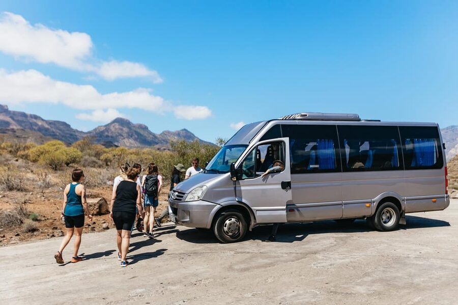Gran Canaria: The Red Canyon Tour with Local Food Tasting - Price and Value: Why $105 Can Make Sense for This Day Plan