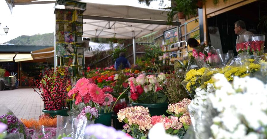 Gran Canaria: Traditional Markets, San Mateo & Teror - Getting picked up: bus comfort and group size