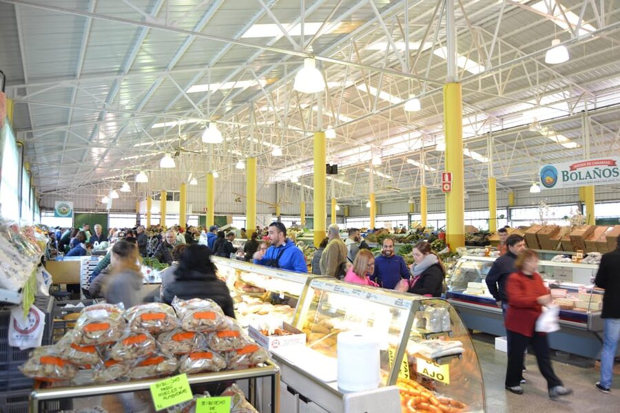 Gran Canaria: Traditional Markets, San Mateo & Teror - Timing and return ride: panoramic views, tight pacing