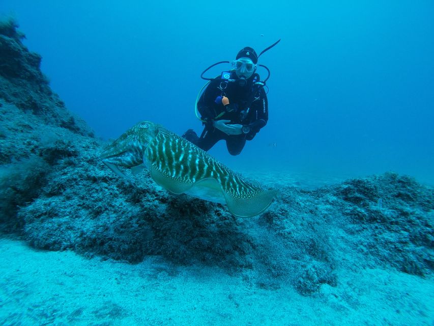 Gran Canaria: Try Scuba Diving for Beginners - Who should book this beginner scuba try, and who should skip it