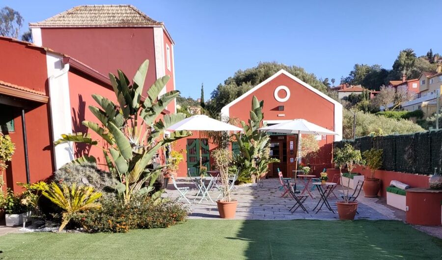 Gran Canaria: Winery Tour, Wine Museum, and Tasting - The wine museum: only-in-Gran-Canaria history, with working context