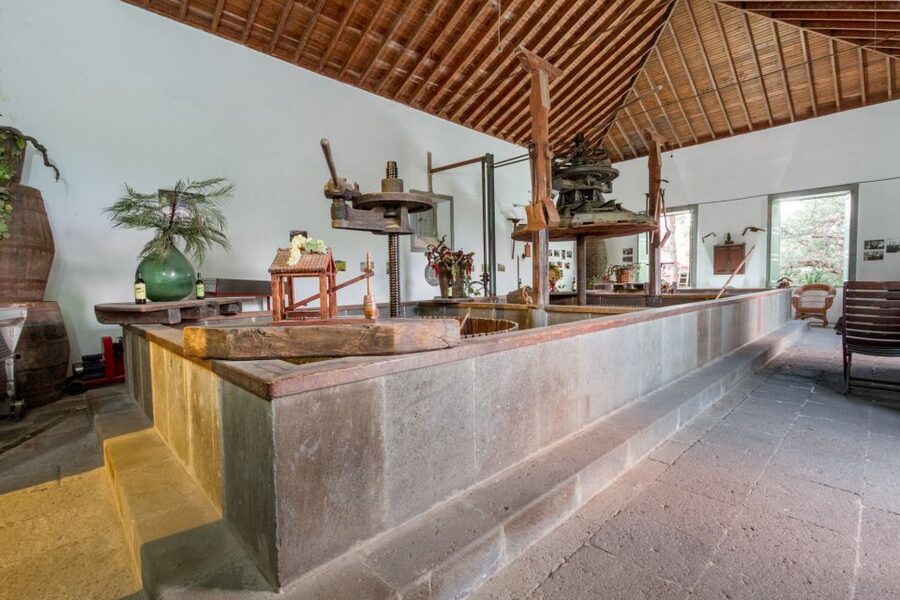 Gran Canaria: Winery Tour, Wine Museum, and Tasting - Price and value: what $34 gets you in 90 minutes