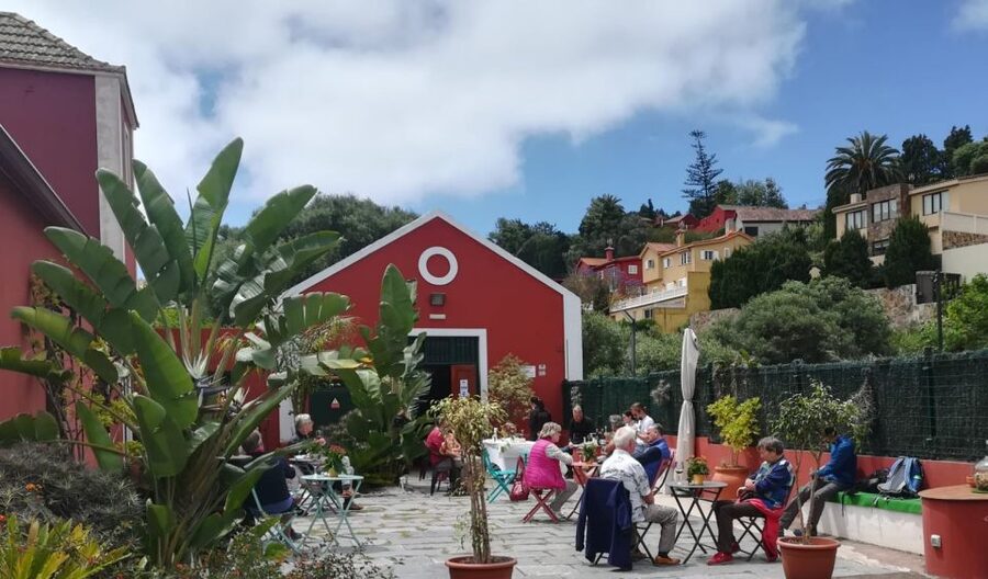 Gran Canaria: Winery Tour, Wine Museum, and Tasting - The guide experience: Maria’s clear storytelling (and moments to match the group)