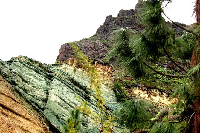 Grand Tour in Gran Canaria - Mogan, ports, and the kind of stops that add texture