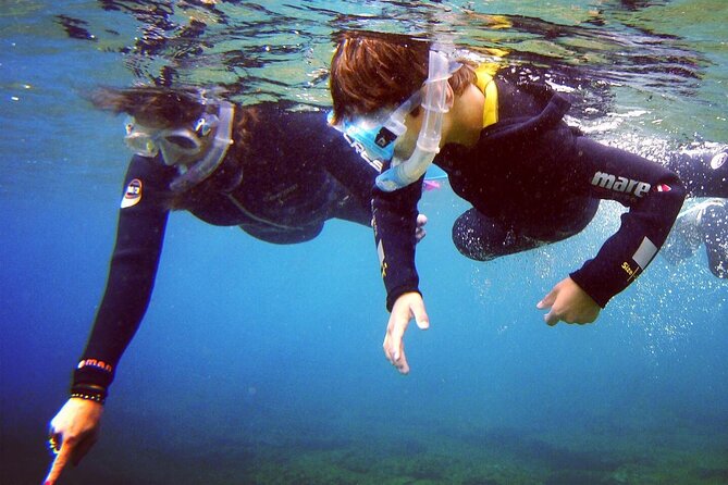 Guided Snorkelling Experience in South of Gran Canaria - Getting There: Playa de Amadores, 8:30 AM, and Pickup Details