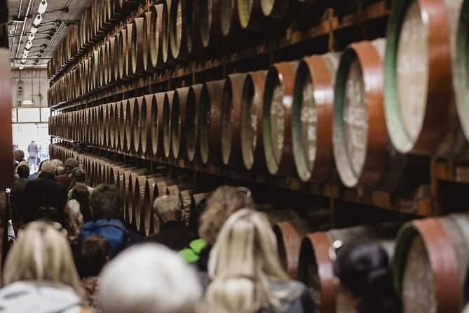 Guided Tour at Ron Arehucas Distillery - Key highlights you’ll feel right away