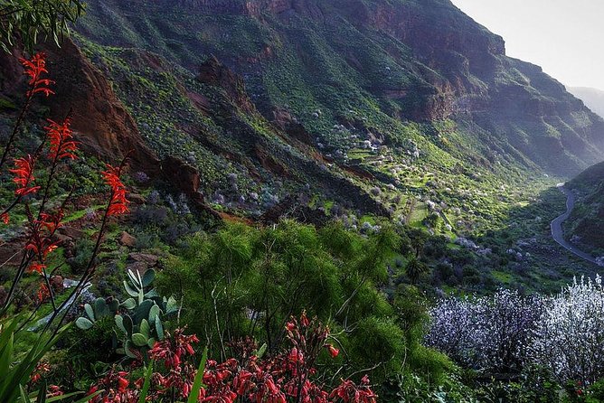 Guided tour: Discover Gran Canaria - Stop 3: Tejeda’s Mountain Views, Roque Nublo, and the Teide Sightline