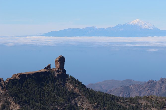 Guided tour: Discover Gran Canaria - Stop 4: Almond Trees at Ayacata and San Bartolomé Fataga