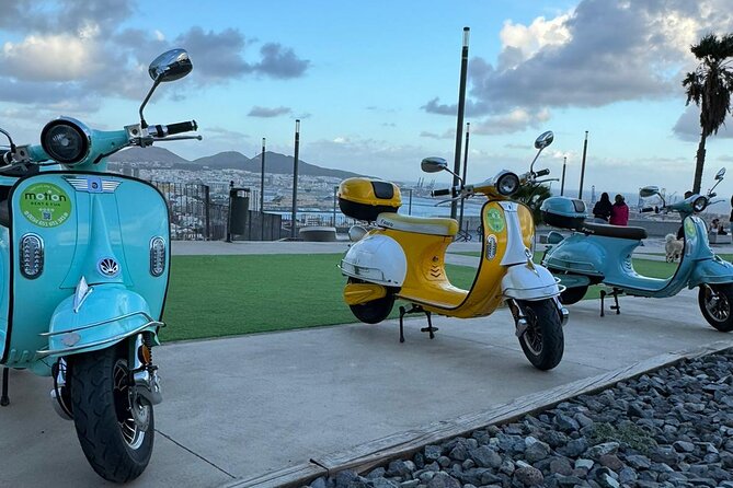Guided Tour With Electric Moped - Doramas Park: A Canarian Town Recreation You Can Actually See