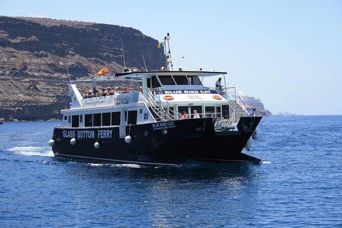 Half-Day Cruise Tour-Dolphin and Whale Watching - What You Might See: Dolphins, Other Wildlife, and Whale Reality