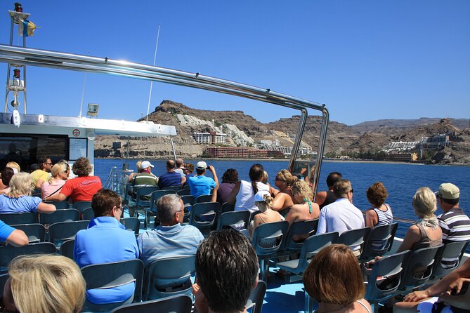 Half-Day Cruise Tour-Dolphin and Whale Watching - Getting There From Your Resort: Shuttle vs. DIY Marina Access
