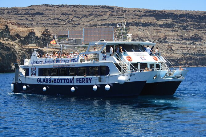 Half-Day Cruise Tour-Dolphin and Whale Watching - Price and Value: Is $44.65 Worth It?
