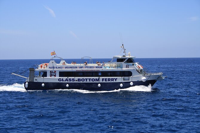 Half-Day Cruise Tour-Dolphin and Whale Watching - Who This Cruise Fits Best (and Who Should Plan Extra)