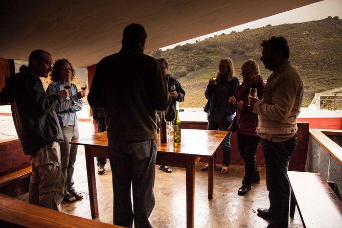 Half day to Bandama Caldera, Botanical experience & Wine-Tasting - Key highlights you’ll care about