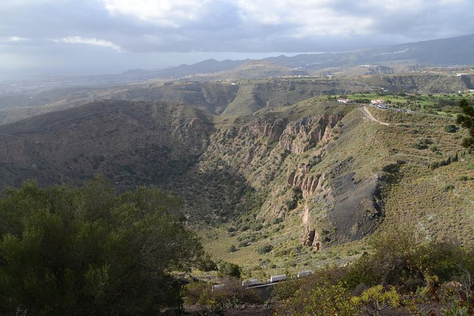 Half day to Bandama Caldera, Botanical experience & Wine-Tasting - Teror on foot: Basilica de la Virgen del Pino and colonial-era detail