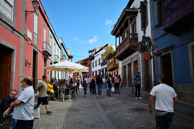Half day to Bandama Caldera, Botanical experience & Wine-Tasting - Bodega San Juan (Museo del Vino): wine and cheese with real local context
