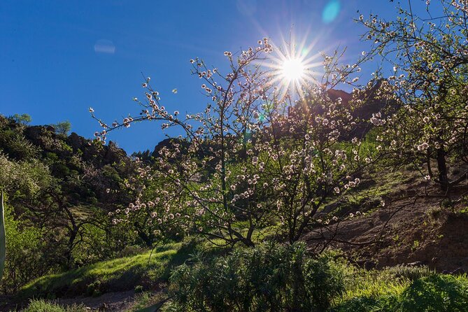Hikes Roque Nublo - Key things I’d pack and plan for